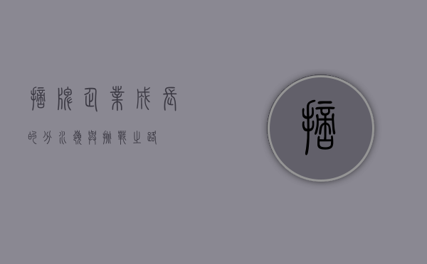 摘牌，企业成长的分水岭与挑战之路