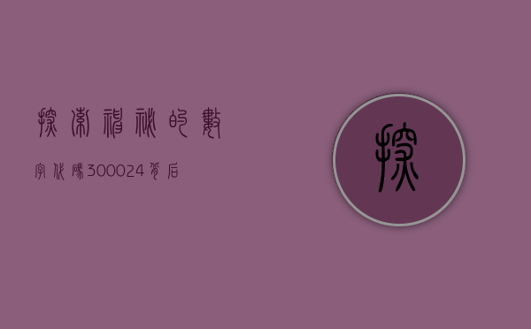 探索神秘的数字代码,300024背后的故事