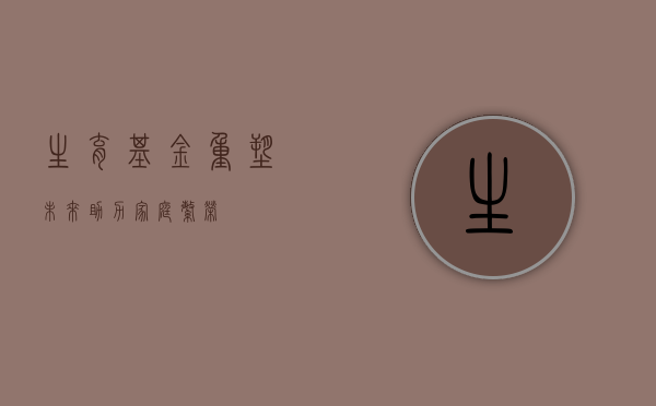 生育基金，重塑未来，助力家庭繁荣