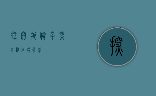 探究折价率，概念、应用与影响