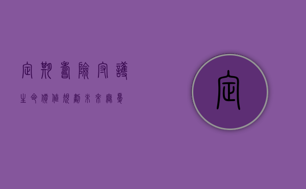 定期寿险，守护生命价值，规划未来无忧