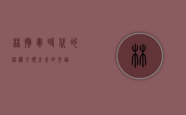 林拥军，时代的楷模，引领未来的先锋
