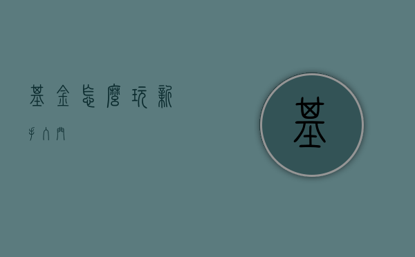 基金怎么玩新手入门