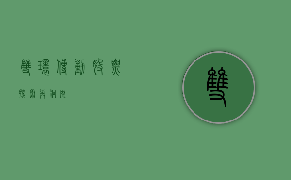 双环传动股票，探索与洞察