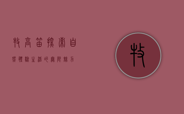 牧高笛，探索自然，体验生活的无限魅力