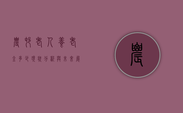 农村老人养老金多少，现状分析与未来展望