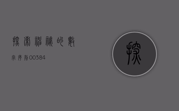 探索神秘的数字序列，00384
