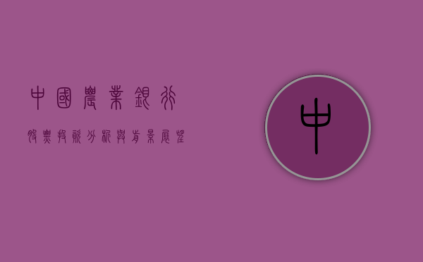 中国农业银行股票，投资分析与前景展望