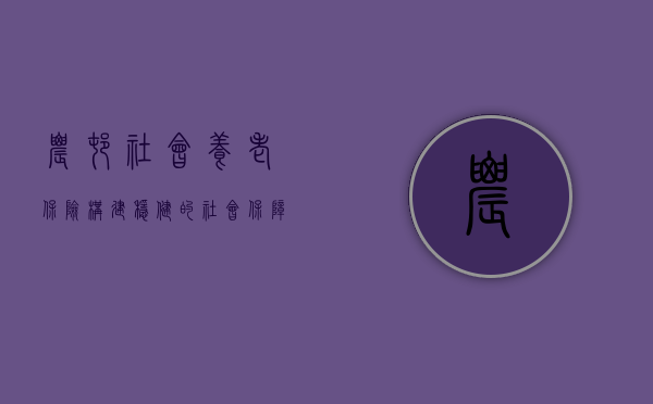 农村社会养老保险，构建稳健的社会保障体系