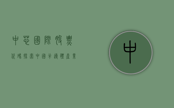 中芯国际股票代码，探索中国半导体产业的新领军者