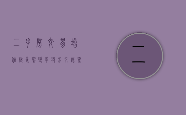 二手房交易增值税，影响、变革与未来展望