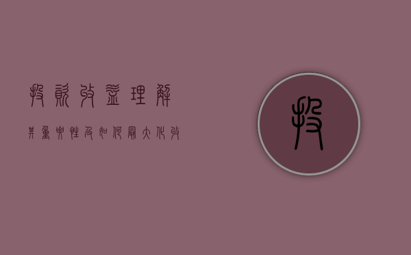 投资收益，理解其重要性及如何最大化
