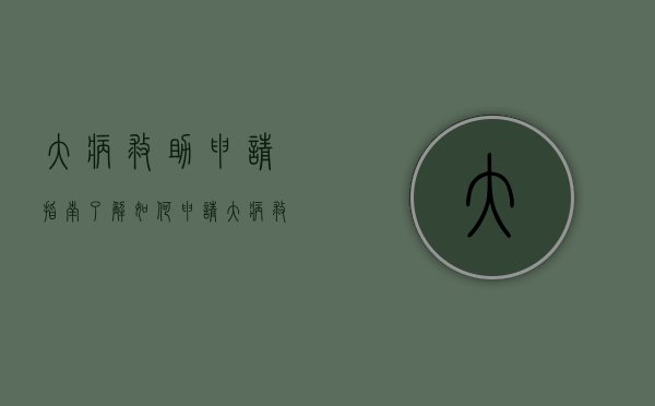 大病救助申请指南,了解如何申请大病救助