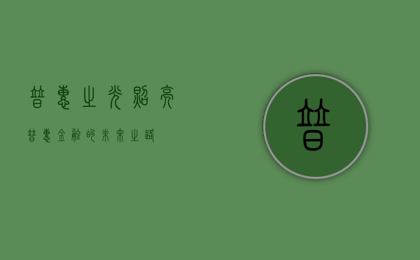 普惠之光，照亮普惠金融的未来之路