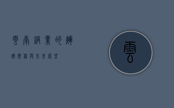 云南铜业的辉煌历程与未来展望