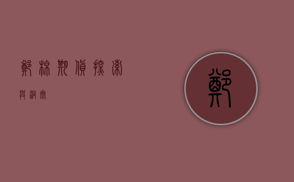 郑棉期货，探索与洞察