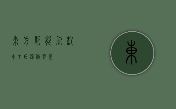 东方新能源汽车今日净值概览