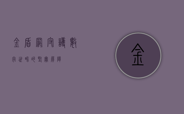 金盾网,守护数字世界的坚实屏障