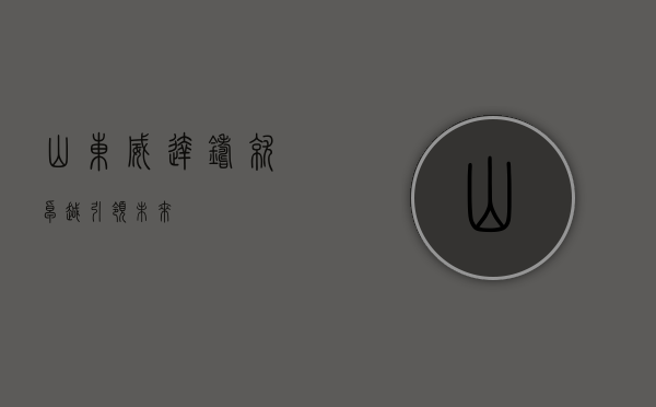 山东威达,铸就卓越,引领未来