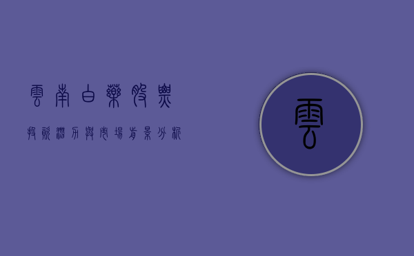 云南白药股票，投资潜力与市场前景分析