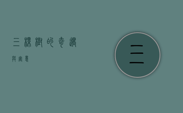三棵树的奇遇与寓意
