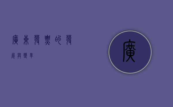 广东发票的发展与变革