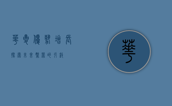 华夏优势增长，探索未来繁荣的引擎