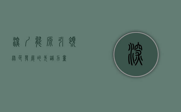 深圳能源,引领绿色发展的先锋力量