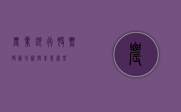 农业银行股票，投资分析与前景展望