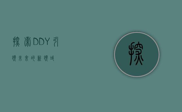 探索DDY，引领未来的新领域