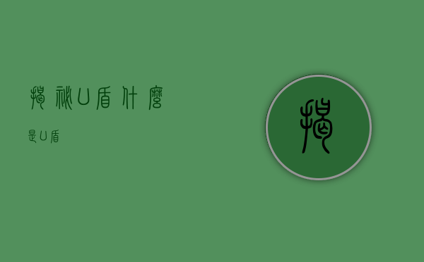 揭秘U盾，什么是U盾？