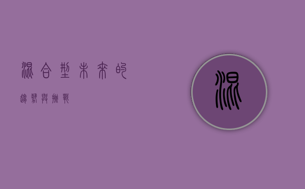 混合型，未来的趋势与挑战