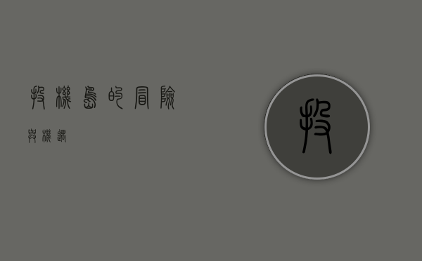 投机岛的冒险与机遇
