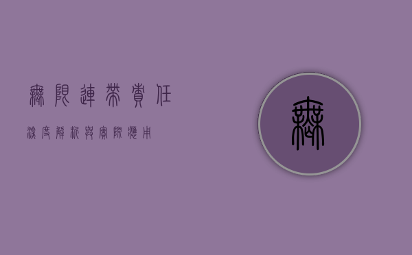 无限连带责任，深度解析与实际应用