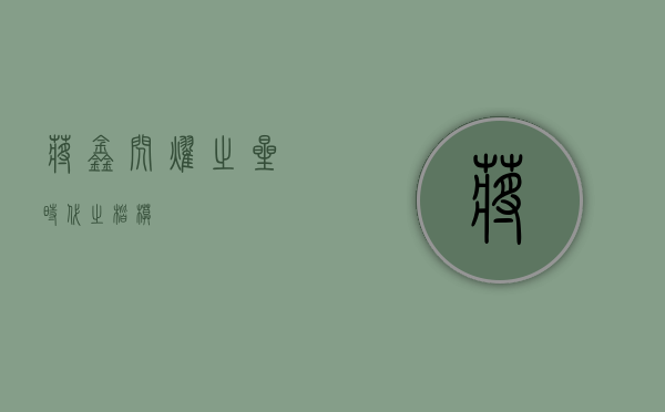 蒋鑫，闪耀之星，时代之楷模