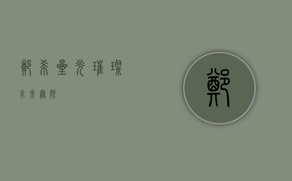 郑希，星光璀璨，未来无限