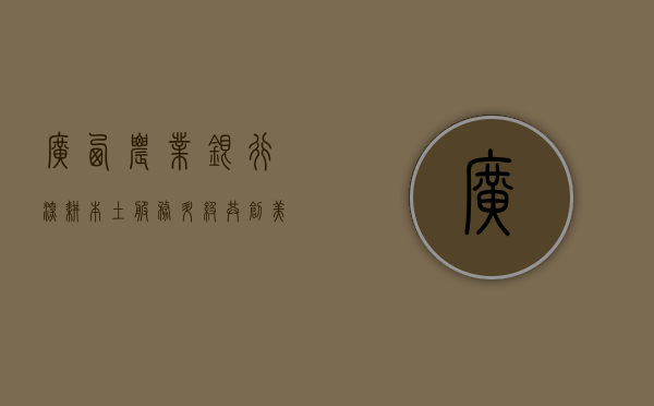 广西农业银行，深耕本土，服务升级，共创美好未来