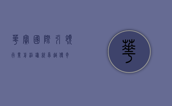 华宝国际,引领行业前沿,铸就卓越传奇