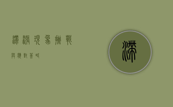 滞涨现象，挑战与应对策略