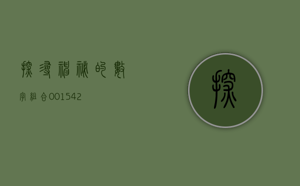 探寻神秘的数字组合，001542