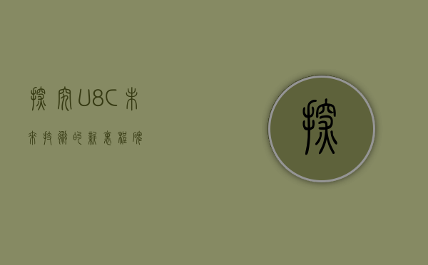 探究U8C，未来技术的新里程碑