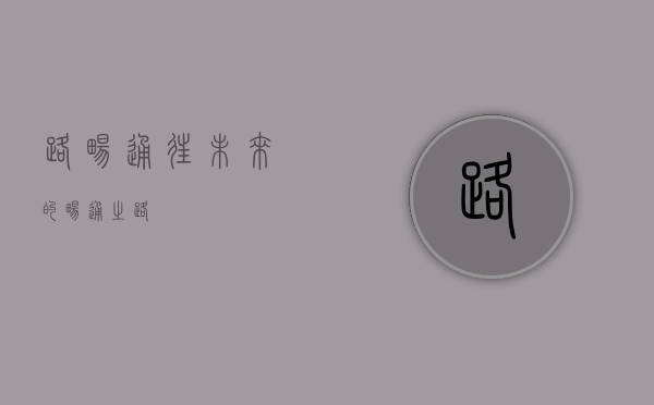 路畅,通往未来的畅通之路