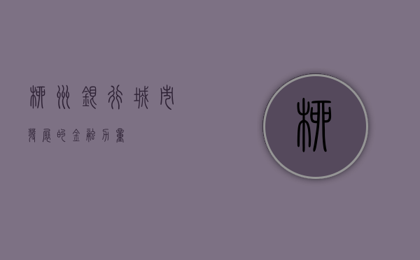 柳州银行,城市发展的金融力量