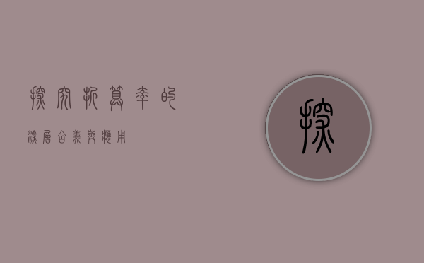 探究折算率的深层含义与应用