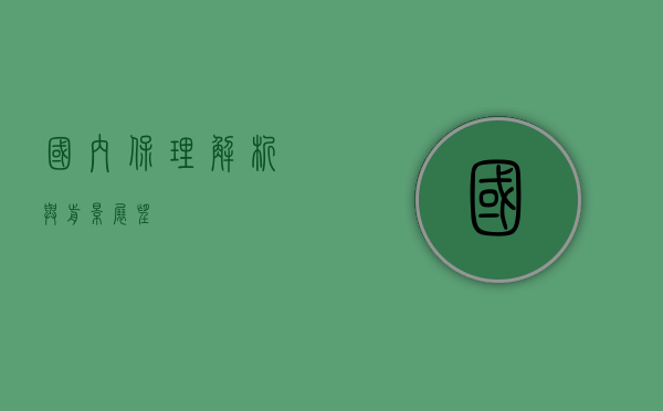 国内保理，解析与前景展望