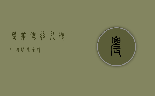 农业银行，扎根中国，服务全球