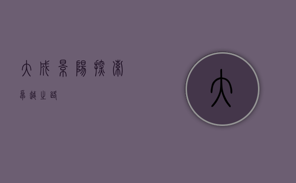 大成景阳，探索卓越之路
