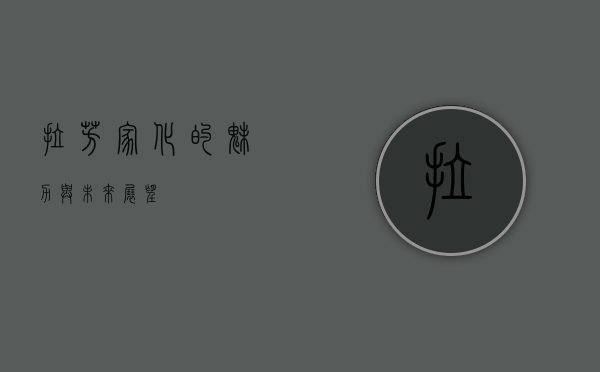 拉芳家化的魅力与未来展望