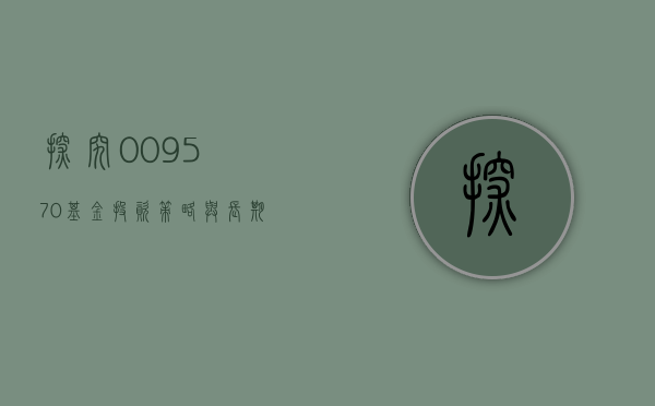 探究009570基金，投资策略与长期价值