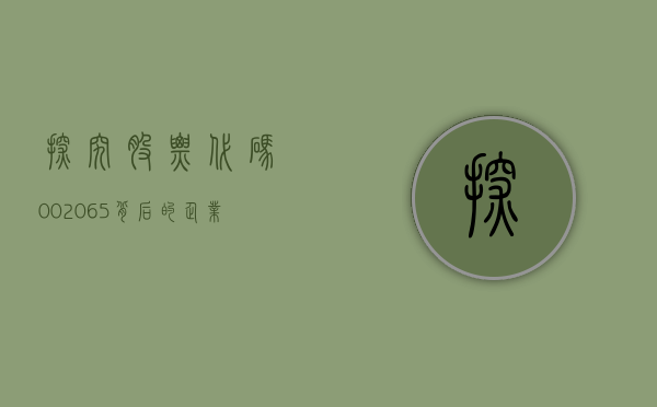 探究股票代码，002065背后的企业实力与发展前景